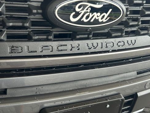 New 2025 Ford F150 XLT w/ Equipment Group 303A High image 22