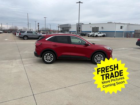 Used 2020 Ford Escape SE image 6