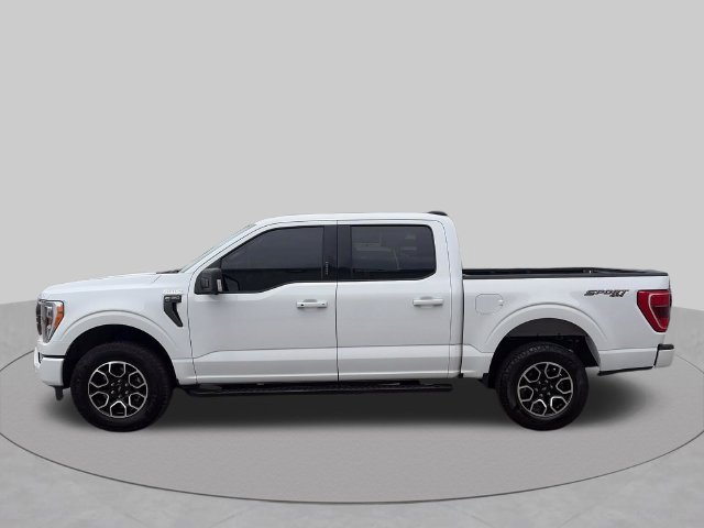 Used 2023 Ford F150 XLT w/ Equipment Group 302A High AWD/4WD image 2
