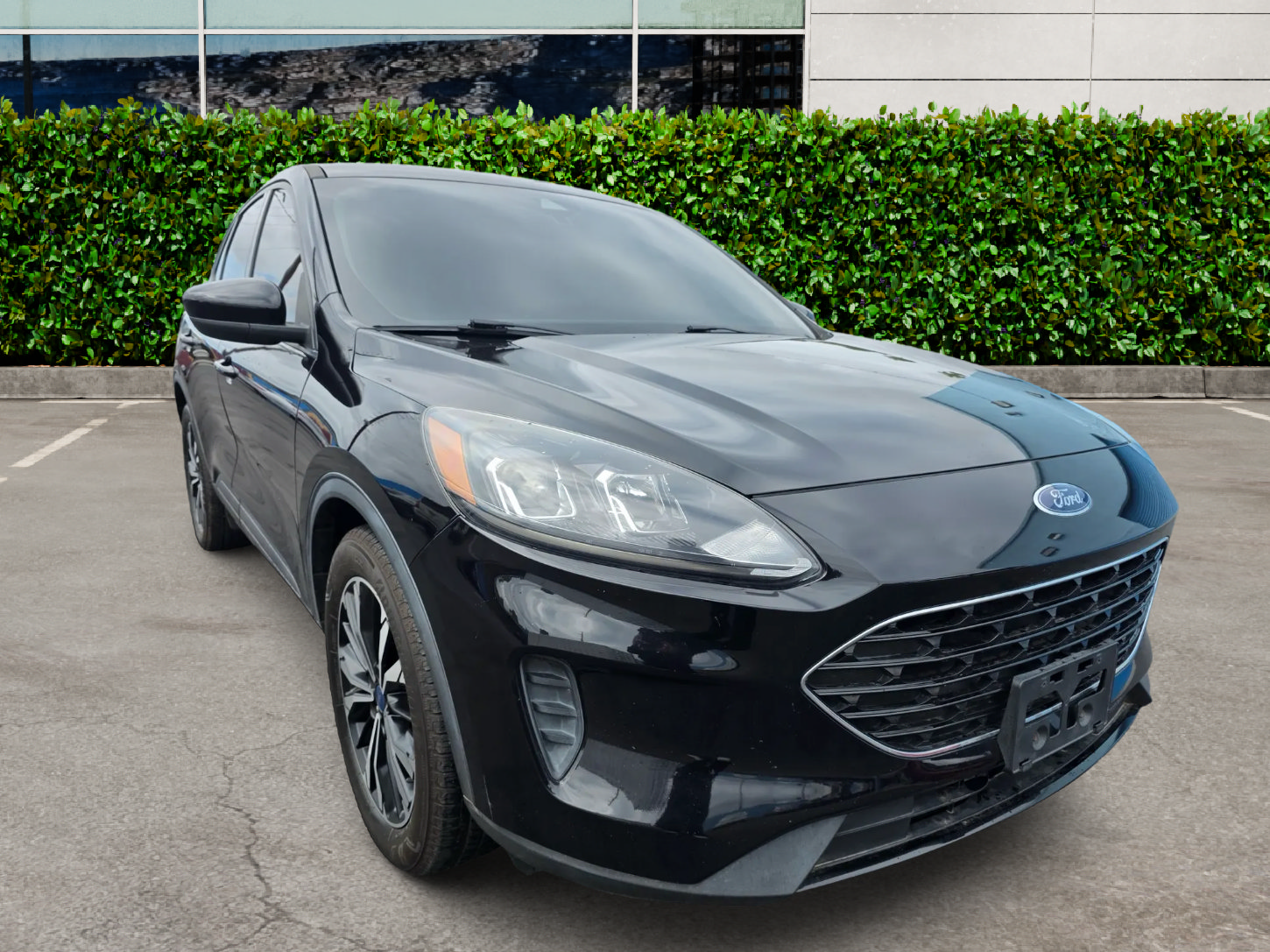 Used 2021 Ford Escape SE w/ SE Sport Appearance Package FWD image 1