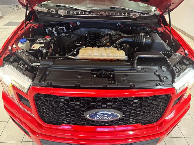 Used 2018 Ford F150 XL w/ Equipment Group 101A Mid AWD/4WD image 19