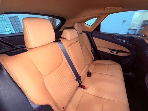 Used 2025 Lexus NX 250 FWD w/ Cold Area Package image 16