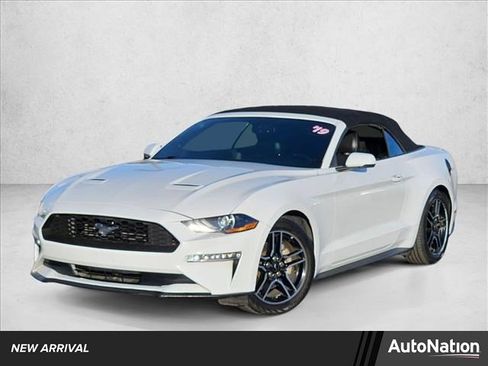 Used 2019 Ford Mustang Premium image 1