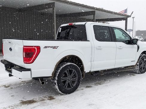 Used 2023 Ford F150 XLT w/ Equipment Group 302A High image 3