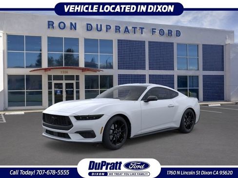 New 2026 Ford Mustang Coupe w/ Mustang Nite Pony Package RWD image 1