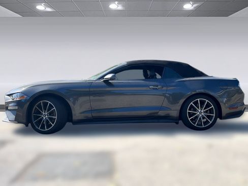 Used 2019 Ford Mustang Premium w/ Equipment Group 201A RWD image 2