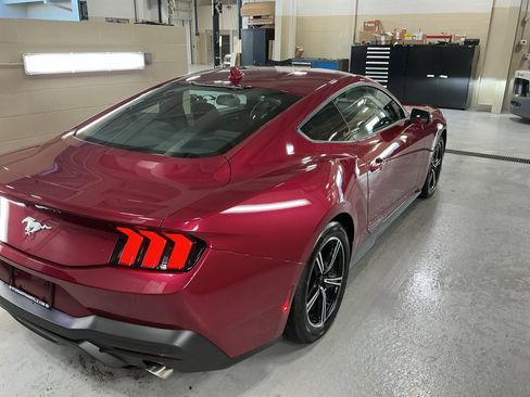 Used 2025 Ford Mustang Coupe image 4