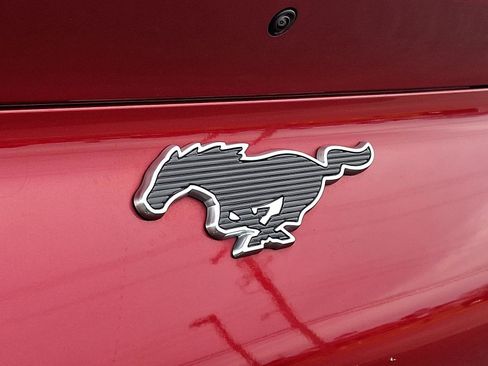 Used 2021 Ford Mustang Mach-E Premium w/ Equipment Group 301A image 32