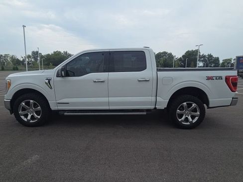 Used 2021 Ford F150 XLT w/ Equipment Group 302A High AWD/4WD image 13