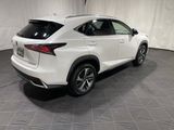 Used 2020 Lexus NX 300h AWD w/ Premium Package image 5