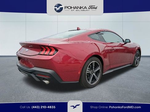 Used 2025 Ford Mustang Premium RWD image 5
