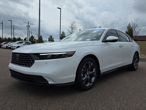 Used 2025 Honda Accord EX-L image 7