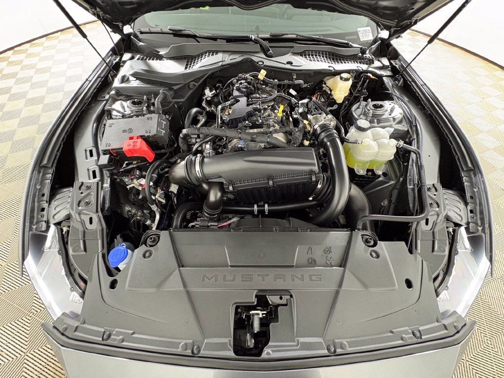 New 2026 Ford Mustang Premium w/ Mustang Nite Pony Package RWD image 30