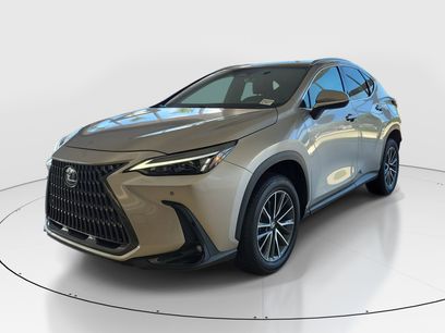 Used 2026 Lexus NX 350 AWD w/ Cold Area Package