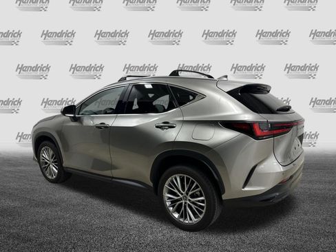 Used 2023 Lexus NX 350 AWD w/ Cold Area Package image 8