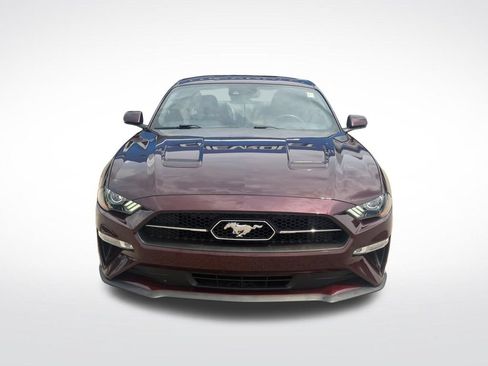Used 2018 Ford Mustang Premium w/ Equipment Group 201A RWD image 10