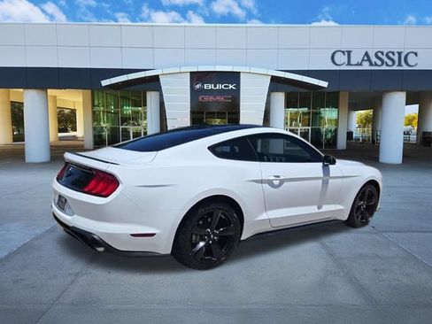 Used 2023 Ford Mustang Premium w/ Mustang Nite Pony Package RWD image 8