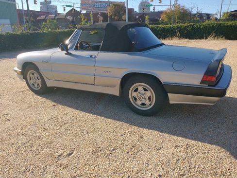 Used 1986 Alfa Romeo Spider Veloce image 13