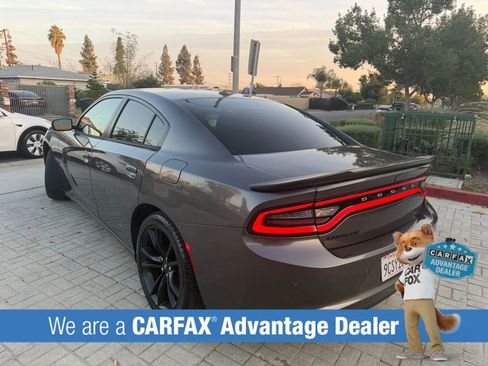 Used 2018 Dodge Charger SXT w/ Blacktop Package RWD image 4