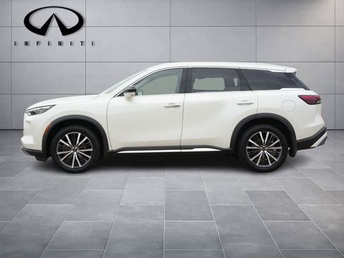Certified 2023 INFINITI QX60 Sensory w/ Cargo Package image 3
