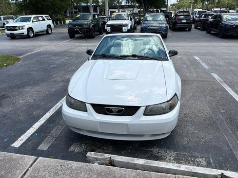 Used 2004 Ford Mustang Convertible RWD image 2