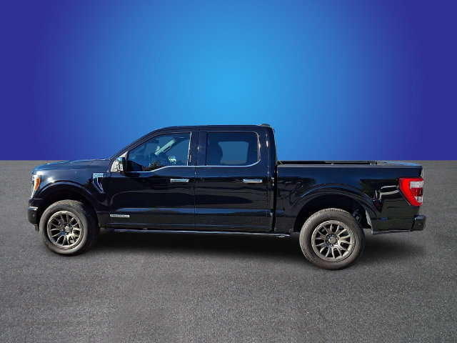 Used 2021 Ford F150 Platinum w/ Equipment Group 701A High AWD/4WD image 7