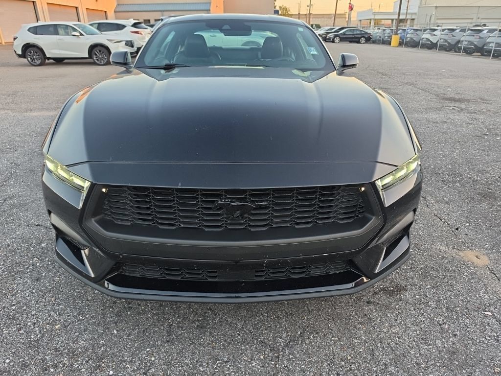 Used 2024 Ford Mustang Premium RWD image 2