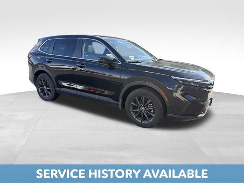 Used 2026 Honda CR-V EX-L image 8