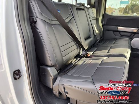 New 2026 Ford F250 Platinum AWD/4WD image 15