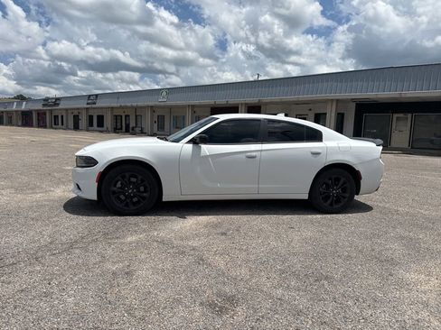 Used 2023 Dodge Charger SXT w/ Blacktop Package AWD/4WD image 8