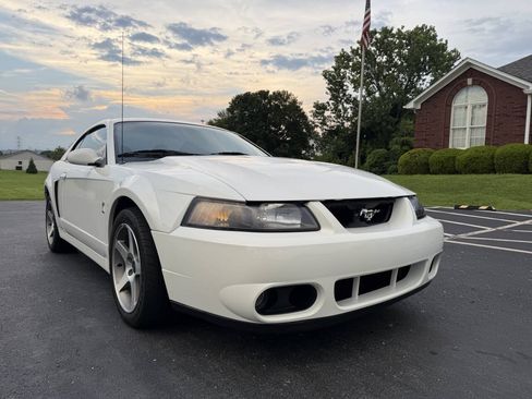 Used 2003 Ford Mustang Cobra RWD image 10