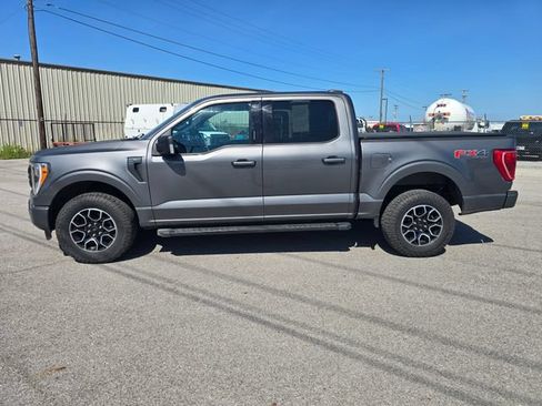 Used 2021 Ford F150 XLT w/ Equipment Group 302A High AWD/4WD image 8