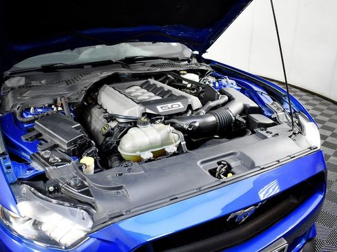 Used 2017 Ford Mustang GT Premium w/ Equipment Group 401A image 53