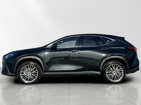 Certified 2025 Lexus NX 350h AWD w/ Premium Package image 3