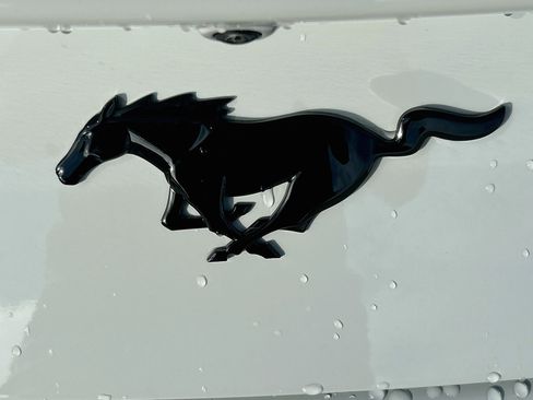 New 2026 Ford Mustang Coupe w/ Mustang Nite Pony Package RWD image 17