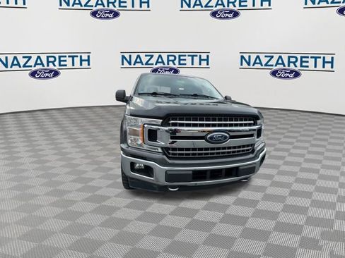 Used 2019 Ford F150 XLT w/ Equipment Group 302A Luxury image 3