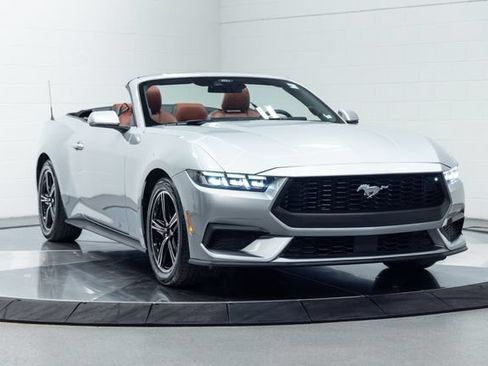 Used 2025 Ford Mustang Premium RWD image 4