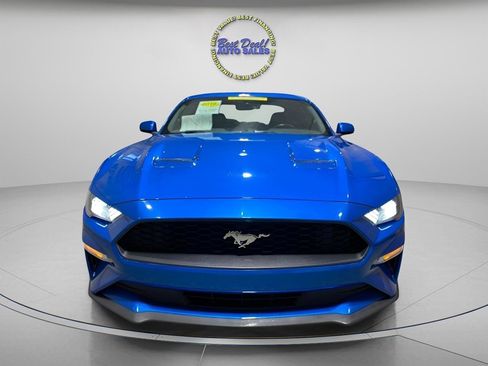 Used 2019 Ford Mustang Premium w/ Enhanced Security Package RWD image 7