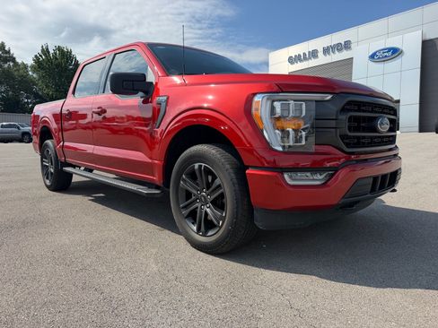 Used 2023 Ford F150 XLT w/ Equipment Group 302A High AWD/4WD image 3