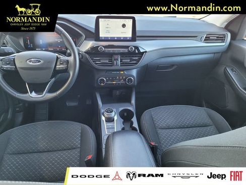 Used 2024 Ford Escape Active AWD/4WD image 6