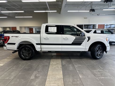 Used 2023 Ford F150 XLT w/ Equipment Group 302A High image 15