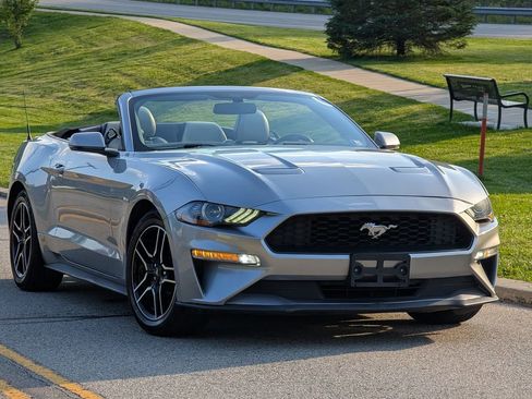 Used 2020 Ford Mustang Premium RWD image 4