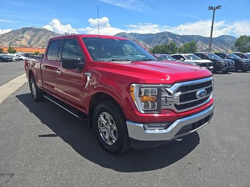 Used 2021 Ford F150 XLT w/ Equipment Group 302A High AWD/4WD image 3