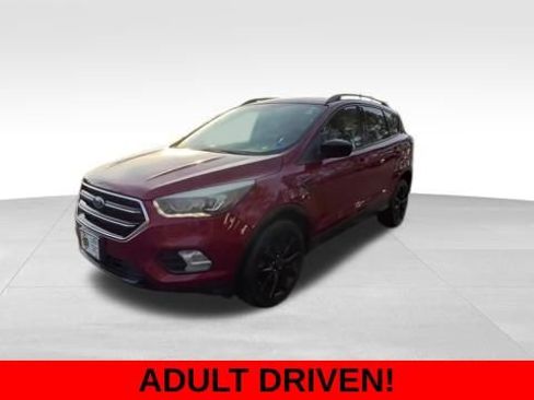 Used 2017 Ford Escape SE w/ Equipment Group 201A image 2