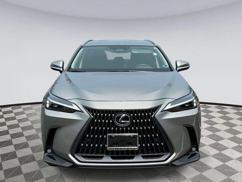 Used 2026 Lexus NX 350 AWD w/ Cold Area Package image 6