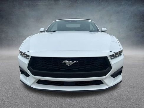 Used 2024 Ford Mustang Premium image 11