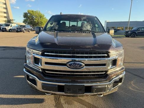 Used 2019 Ford F150 XLT w/ Equipment Group 302A Luxury AWD/4WD image 5