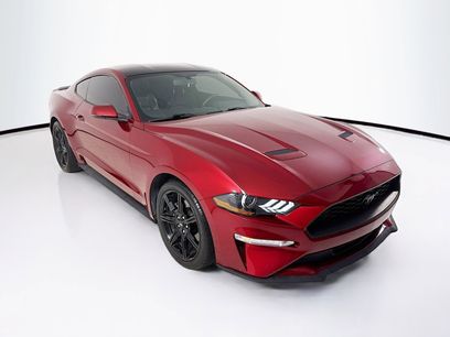 Used 2019 Ford Mustang Premium w/ Black Accent Package
