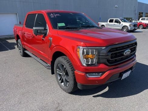 Used 2023 Ford F150 XLT w/ Equipment Group 302A High AWD/4WD image 1
