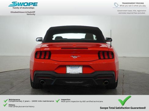Used 2024 Ford Mustang Premium RWD image 5